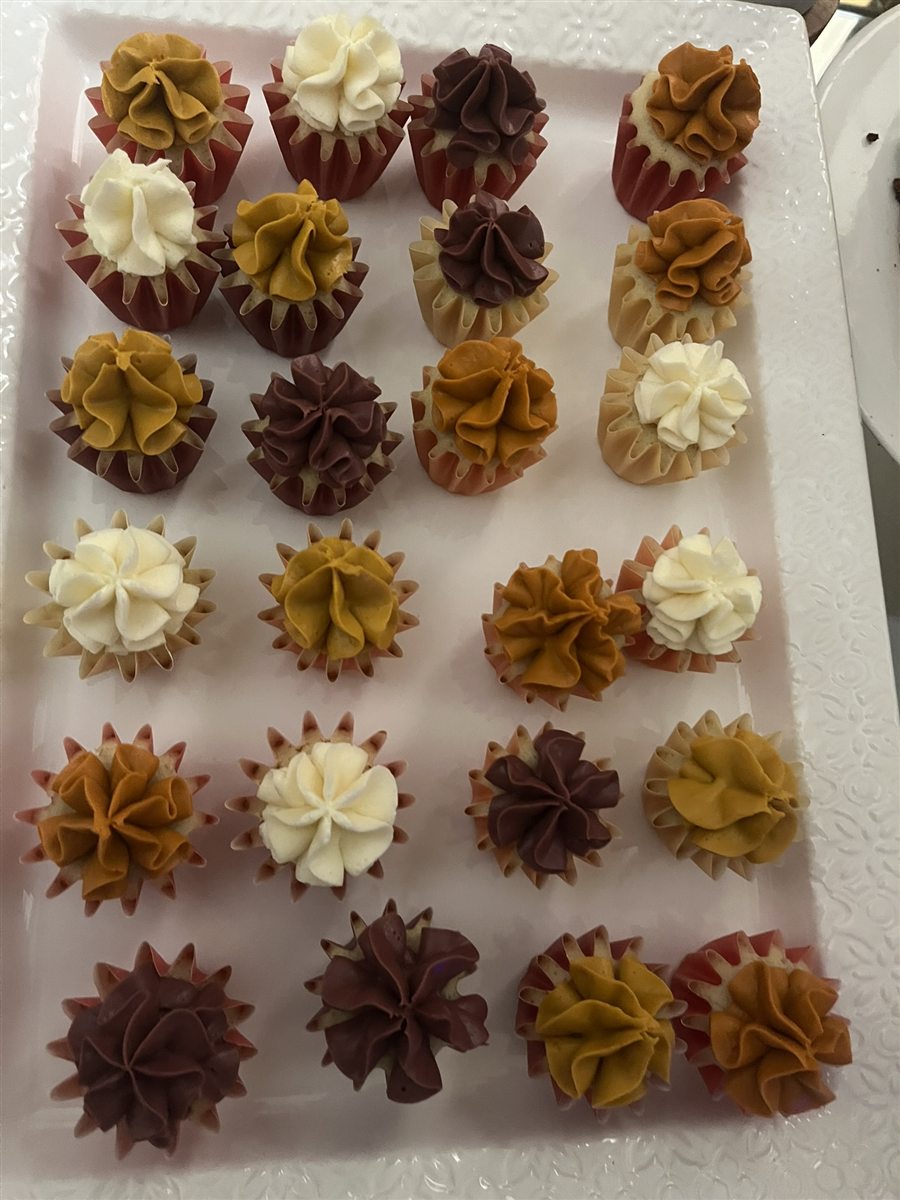 A colorful assortment of petite cupcakes